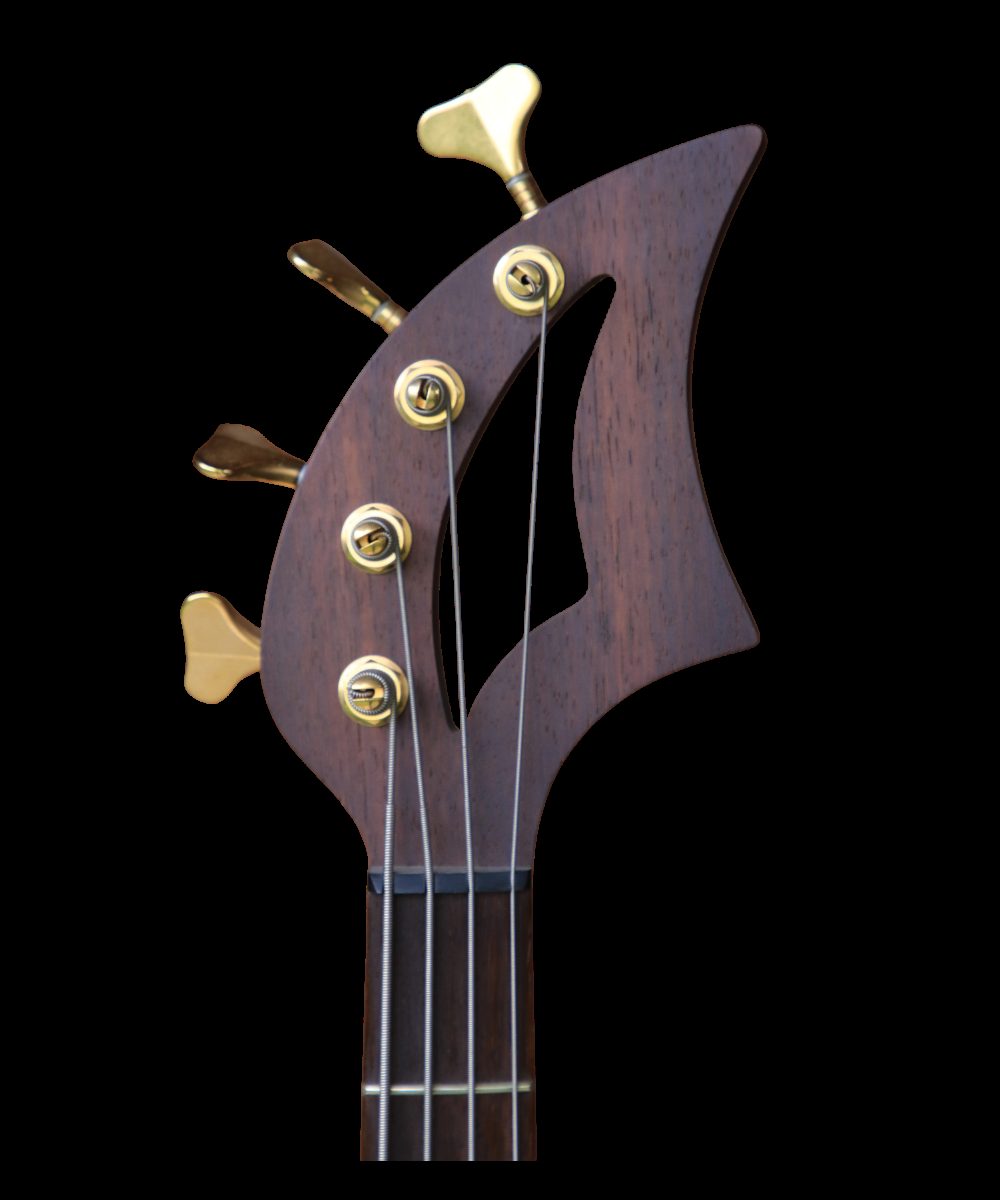 NEXUS Question Bass 4 photo 3