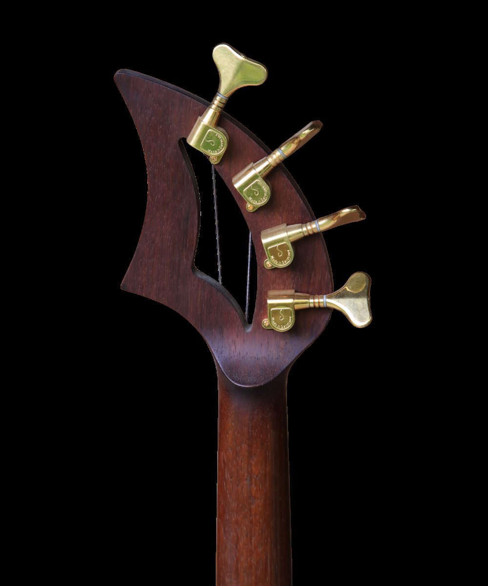 NEXUS Question Bass 4 photo 4