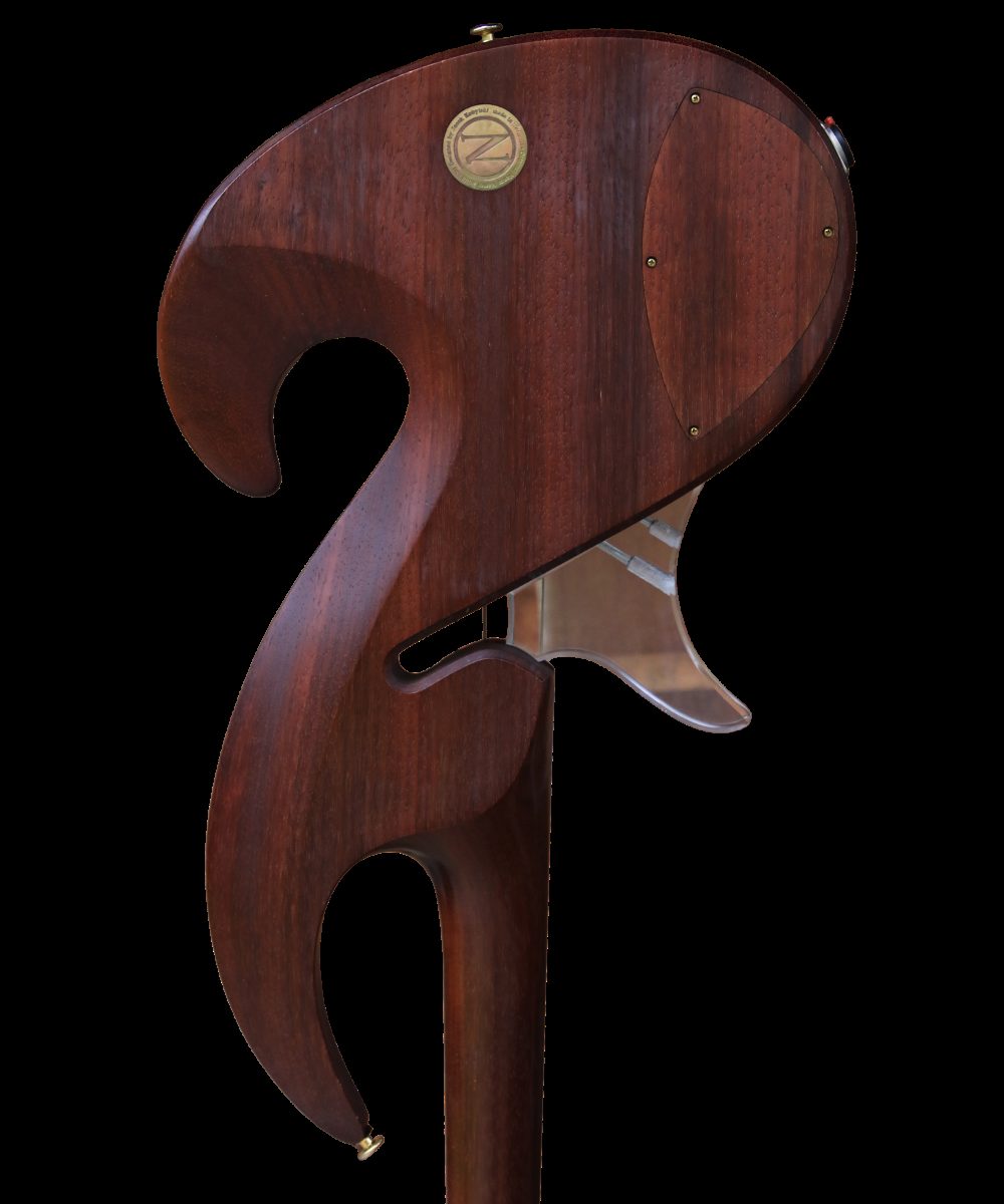 NEXUS Question Bass 4 photo 6